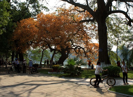 Thiếu nữ Hà thành tạo dáng trong nắng xuân - 1