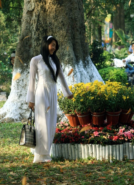 Thiếu nữ Hà thành tạo dáng trong nắng xuân - 12