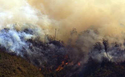 Cháy hơn 2 ngày, đe dọa thiêu rụi vườn quốc gia Hoàng Liên - 2 Cháy hơn 2 ngày, đe dọa thiêu rụi vườn quốc gia Hoàng Liên - 2