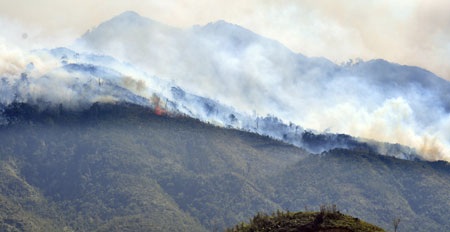 Cháy hơn 2 ngày, đe dọa thiêu rụi vườn quốc gia Hoàng Liên - 1 Cháy hơn 2 ngày, đe dọa thiêu rụi vườn quốc gia Hoàng Liên - 1