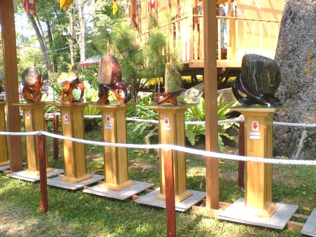 Tận hưởng nét đẹp và lạ của Hội hoa xuân 2010 - 7