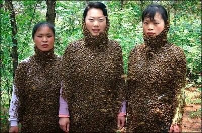 3 cô gái mặc quần áo… ong - 1