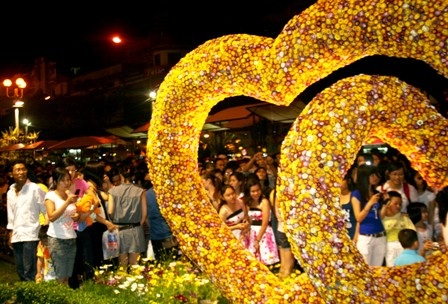 Đường hoa Nguyễn Huệ 2010: Sức mạnh và tình yêu - 3