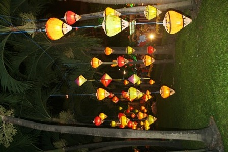 Đường hoa Nguyễn Huệ 2010: Sức mạnh và tình yêu - 2