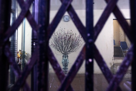 Suy tư Hà Nội chiều cuối năm - 15