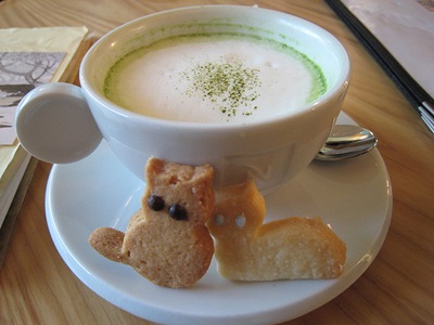 Nhật Bản mở quán cà phê "mèo" - 6