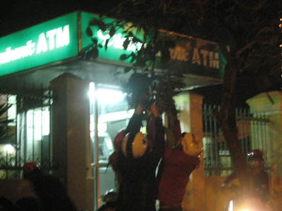 Cây xanh trước các ngân hàng tan tác vì... bẻ lộc - 2 Cây xanh trước các ngân hàng tan tác vì... bẻ lộc - 2