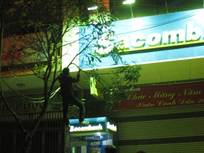 Cây xanh trước các ngân hàng tan tác vì... bẻ lộc - 3 Cây xanh trước các ngân hàng tan tác vì... bẻ lộc - 3