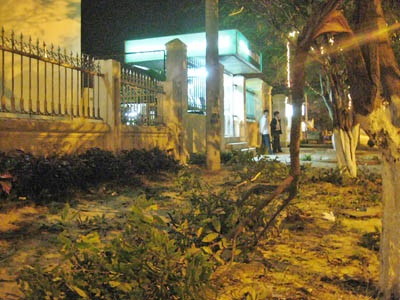 Cây xanh trước các ngân hàng tan tác vì... bẻ lộc - 6 Cây xanh trước các ngân hàng tan tác vì... bẻ lộc - 6