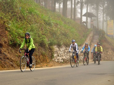 Sa Pa rộn ràng xuân - 1