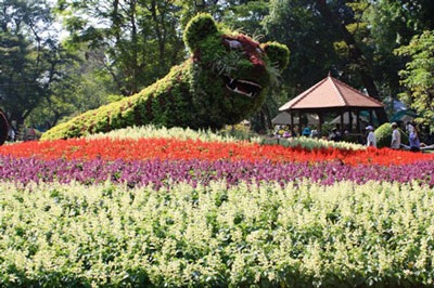 “Chúa sơn lâm” ngự trị đường phố Sài Thành - 1