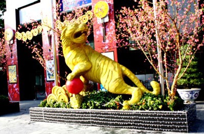 “Chúa sơn lâm” ngự trị đường phố Sài Thành - 8