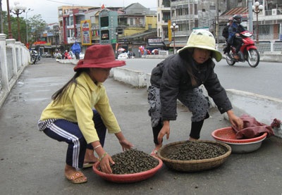 “Thân cò con” mưu sinh trong ngày Tết - 1