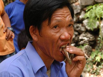 Người chuyên ăn rắn, chuột sống - 1 Người chuyên ăn rắn, chuột sống - 1
