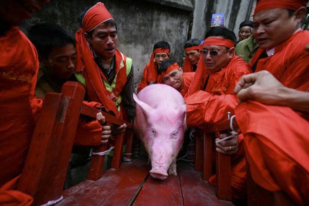 Tiễn “Ông ỉn” chầu... trời - 4