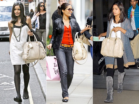 Túi “cưng” của sao - 12