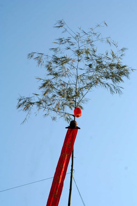 Xem lễ  “Dựng - hạ nêu” lớn nhất tại Huế  - 8