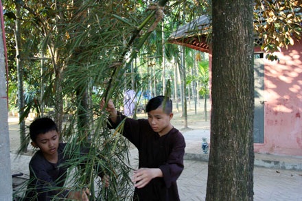 Xem lễ  “Dựng - hạ nêu” lớn nhất tại Huế  - 2