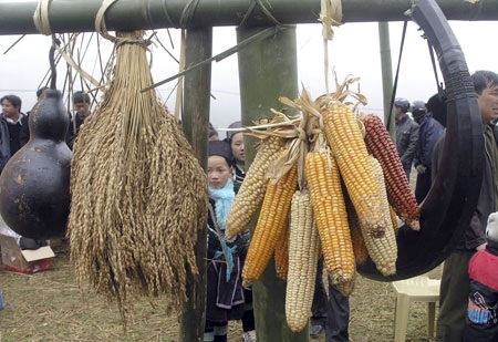 Mở Hội xuân độc đáo dưới chân núi Phan Si Păng - 5