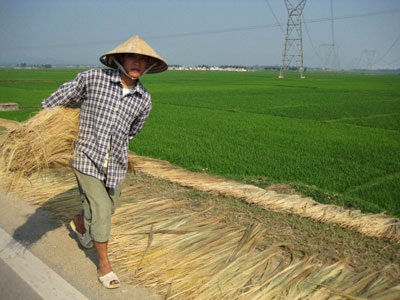 “Xông đất” làng đót Quảng Phong - 2