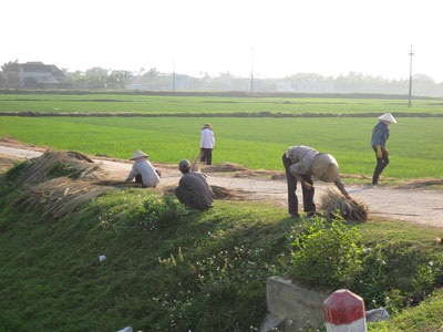 “Xông đất” làng đót Quảng Phong - 4