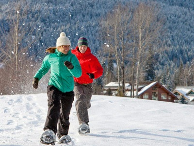 Hoa tình yêu trên những bông tuyết - 1
