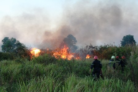 Gần 100ha đất bỏ hoang chìm trong biển lửa - 5 Gần 100ha đất bỏ hoang chìm trong biển lửa - 5
