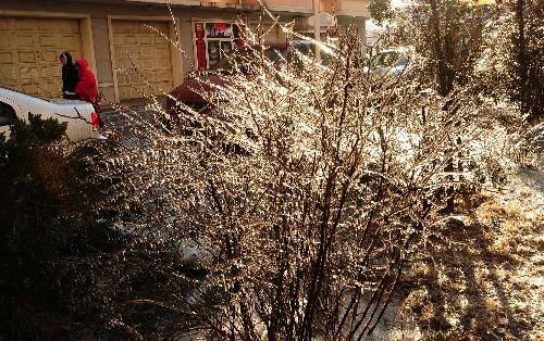 Mưa băng: Cái đẹp trong thảm họa - 5