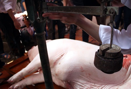 Tưng bừng lễ tế “Ông lợn” làng La Phù - 3 Tưng bừng lễ tế “Ông lợn” làng La Phù - 3