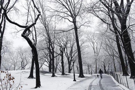 4 mùa tuyệt đẹp trong Công viên Trung tâm nổi tiếng New York - 1