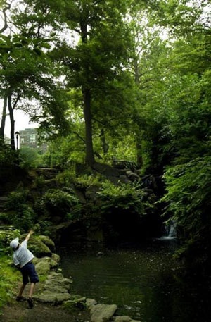 4 mùa tuyệt đẹp trong Công viên Trung tâm nổi tiếng New York - 13