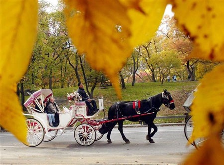 4 mùa tuyệt đẹp trong Công viên Trung tâm nổi tiếng New York - 16