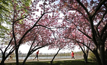 4 mùa tuyệt đẹp trong Công viên Trung tâm nổi tiếng New York - 6