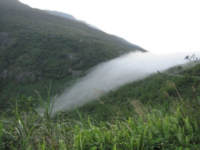 Sương mù trên “đỉnh trời” - 3 Sương mù trên “đỉnh trời” - 3