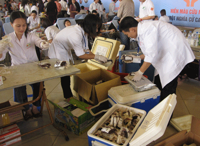 Thu hơn 3000 đơn vị máu tại “Lễ hội Xuân hồng” - 6