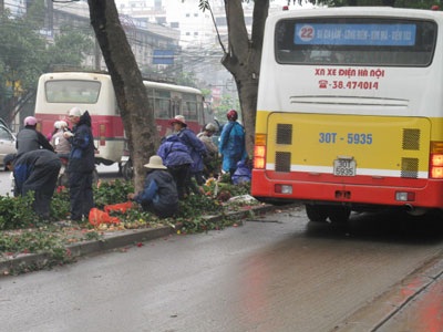 Bát nháo hàng hoa ngày Quốc tế phụ nữ - 3