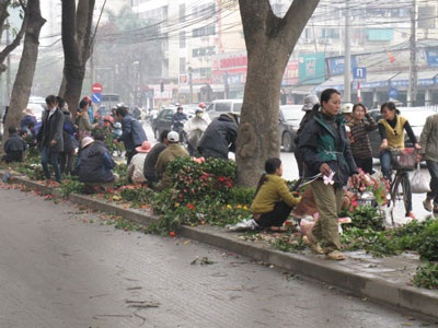 Bát nháo hàng hoa ngày Quốc tế phụ nữ - 5