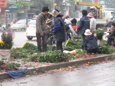 Bát nháo hàng hoa ngày Quốc tế phụ nữ - 1