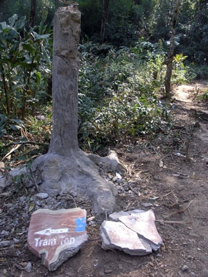 Thảm thương những tấm biển chỉ đường - 1