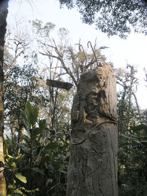 Thảm thương những tấm biển chỉ đường - 2