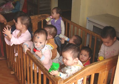 Luật nuôi con nuôi: “Khéo thì sống…?” - 1 Luật nuôi con nuôi: “Khéo thì sống…?” - 1