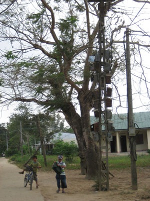 Hiểm hoạ chết người “giàn” dây điện ngang đầu - 5