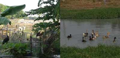 ”Ở đây có cúm à?“ - 1