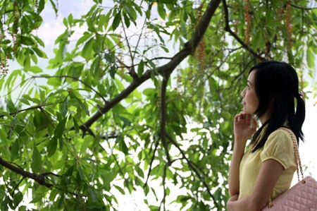 Ngắm lộc vừng ven Hồ Gươm trổ lộc, bung bông - 5 Ngắm lộc vừng ven Hồ Gươm trổ lộc, bung bông - 5