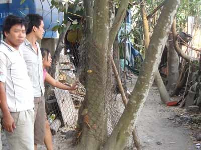 ”Ở đây có cúm à?“ - 2