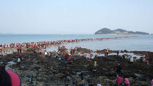 Kỳ thú hiện tượng "Biển chia đôi" - 6 Kỳ thú hiện tượng "Biển chia đôi" - 6