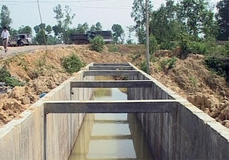 Quảng Bình: 6.000 ha lúa “nín thở” chờ hai Bộ - 2 Quảng Bình: 6.000 ha lúa “nín thở” chờ hai Bộ - 2