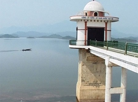 Quảng Bình: 6.000 ha lúa “nín thở” chờ hai Bộ - 1 Quảng Bình: 6.000 ha lúa “nín thở” chờ hai Bộ - 1