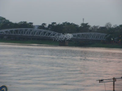 “Vườn cò” bên cầu Trường Tiền - 2 “Vườn cò” bên cầu Trường Tiền - 2