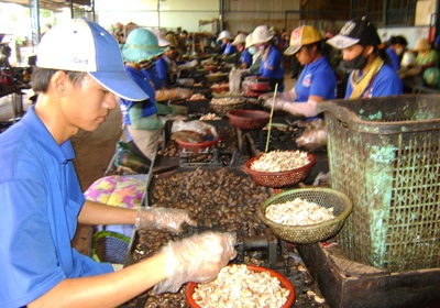 Việt Nam tham gia sáng lập Hiệp hội điều thế giới - 1 Việt Nam tham gia sáng lập Hiệp hội điều thế giới - 1